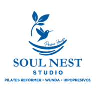 Logo de Soul Nest Studio
